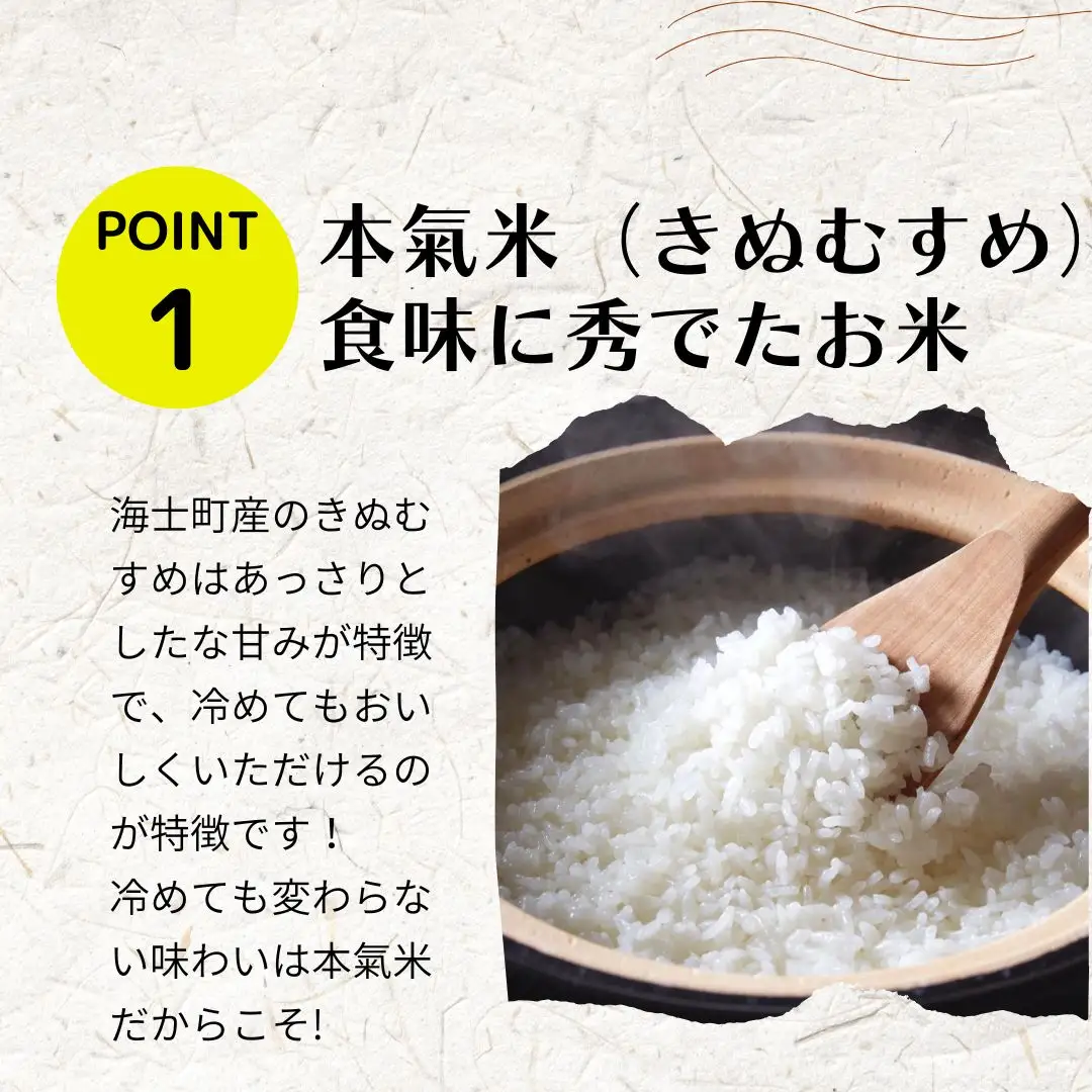 きぬむすめ 10kg ブランド 本氣米 精米 白米