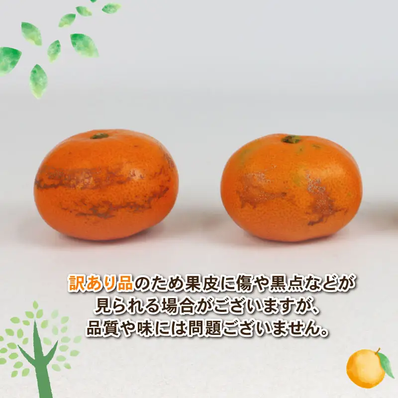 訳あり みかん 南柑20号 9kg 赤松果樹園【 みかん 】 B010-208003