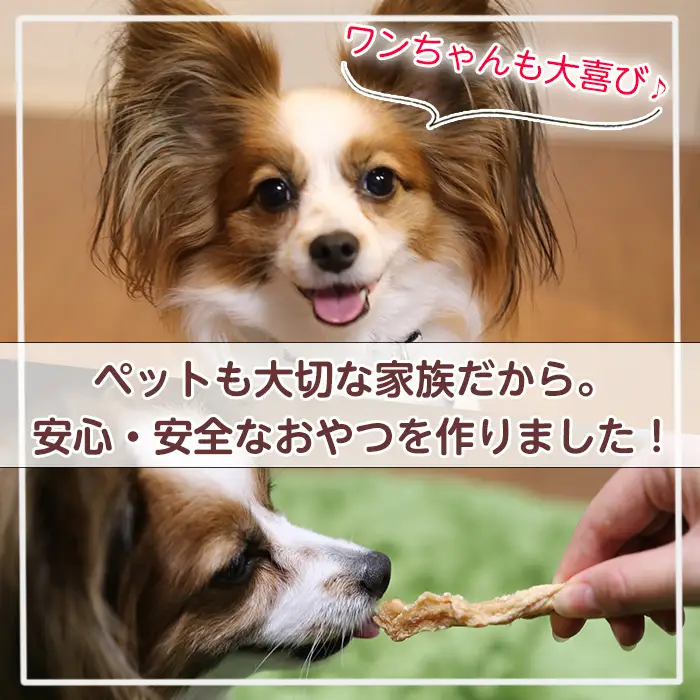 No.447-B 犬用おやつジャーキー 牛タン皮細切り (計100g・50g×2袋) 牛タン皮 牛肉 お肉 レトルト ペット用 乾燥 細切り 小分け 着色料不使用 保存料不使用 いぬ ご褒美 間食 デンタルケア【末永商店】