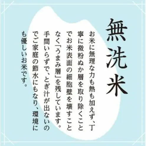 【令和8年産　新米先行受付】雪室貯蔵 魚沼産コシヒカリ 無洗米 10kg 米 お米 こめ コメ おこめ 白米 こしひかり 魚沼 新潟県