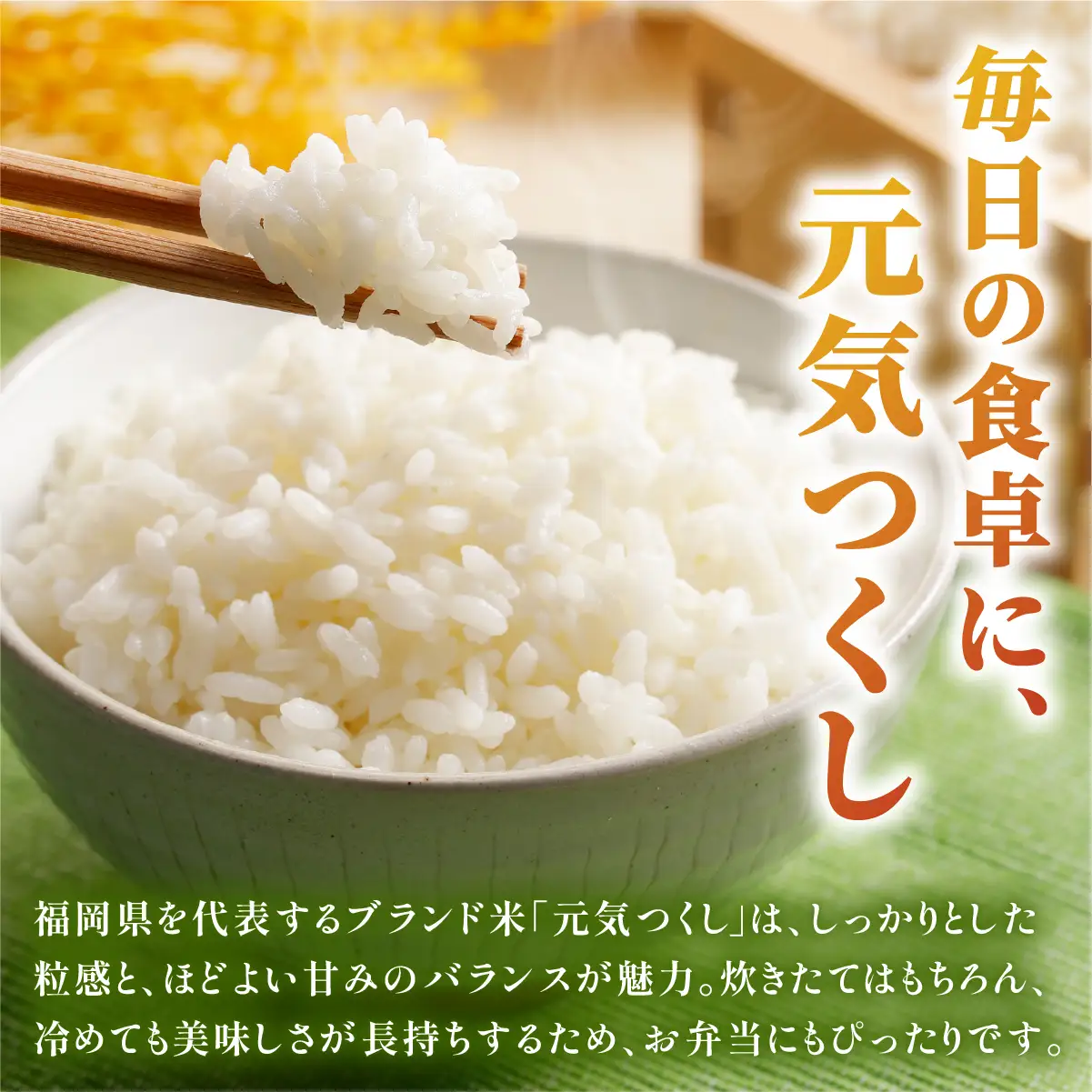 令和7年産 福岡県産元気つくし 5kg