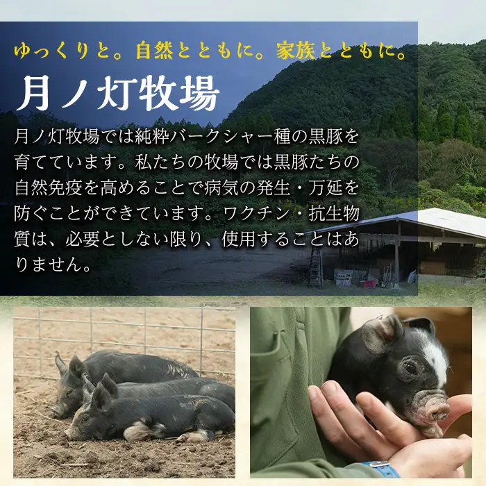 a1111 ＜保存料・発色剤・結着材・合成着色料 無添加＞月ノ灯牧場直送！鹿児島県産黒豚ソーセージ3種盛り合わせ計12本(ソーセージ4本・ハーブソーセージ4本・チョリソー4本)【pig village company】 姶良市 国産 豚肉 黒豚 ソーセージ セット 鹿児島