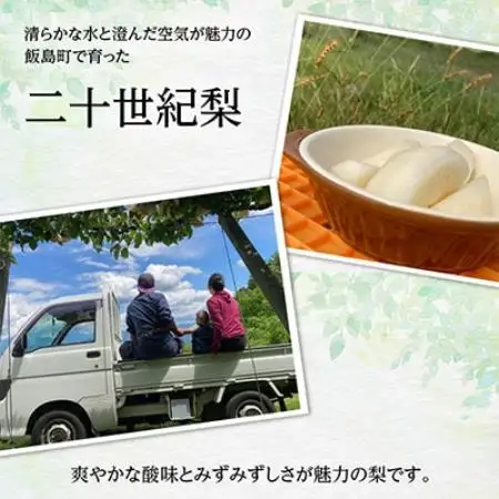 二十世紀梨 5kg 長野県飯島町産【1631988】