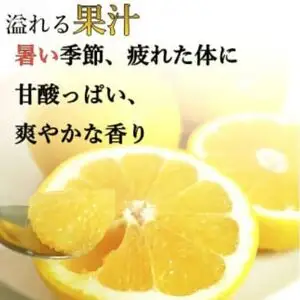 【10営業日以内発送】【訳あり】 河内晩柑 樹齢 25年以上 5kg +傷み保証約1kg （ サイズミックス ） 7000円 みかん mikan 蜜柑 ミカン わけあり かわちばんかん 愛南ゴールド あいなん ゴールド 美生柑 文旦 人気 限定 さわやか 甘い フルーツ 果物 柑橘 蜜柑 規格外 小玉 含む 吉本農園 愛南町 愛媛県