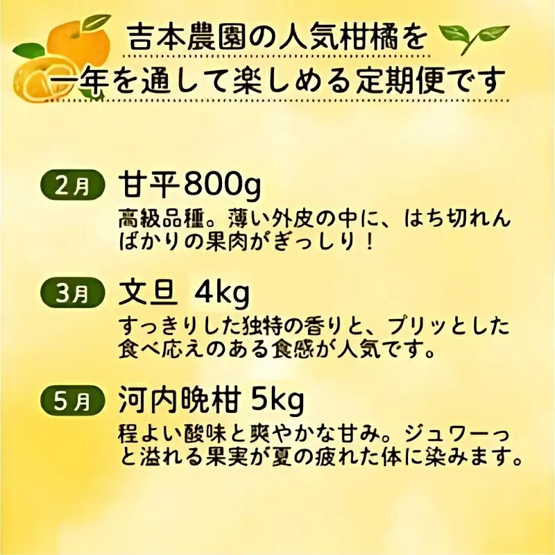 旬の柑橘定期便 年5回 柑橘 吉本農園 甘平 文旦 河内晩柑 愛媛みかん 宝紅まどんな