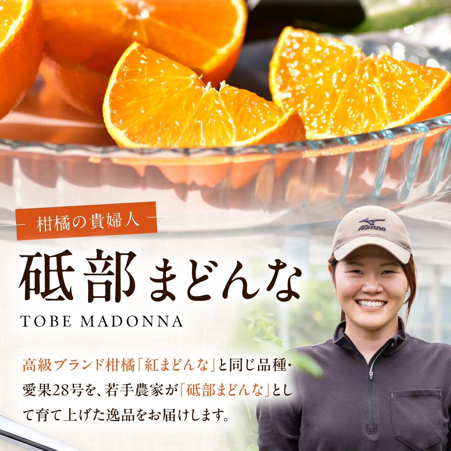 みかん 紅まどんな 約2kg【11月中旬から12月下旬まで順次発送】/ フルーツ 果物 柑橘 蜜柑 ミカン オレンジ まどんな マドンナ 紅マドンナ 砥部まどんな 愛果28号 約2kg 甘い 先行予約 箱 贈答 ギフト プレゼント / 愛媛県砥部町/TOBE Orange Lab[BJCY001]