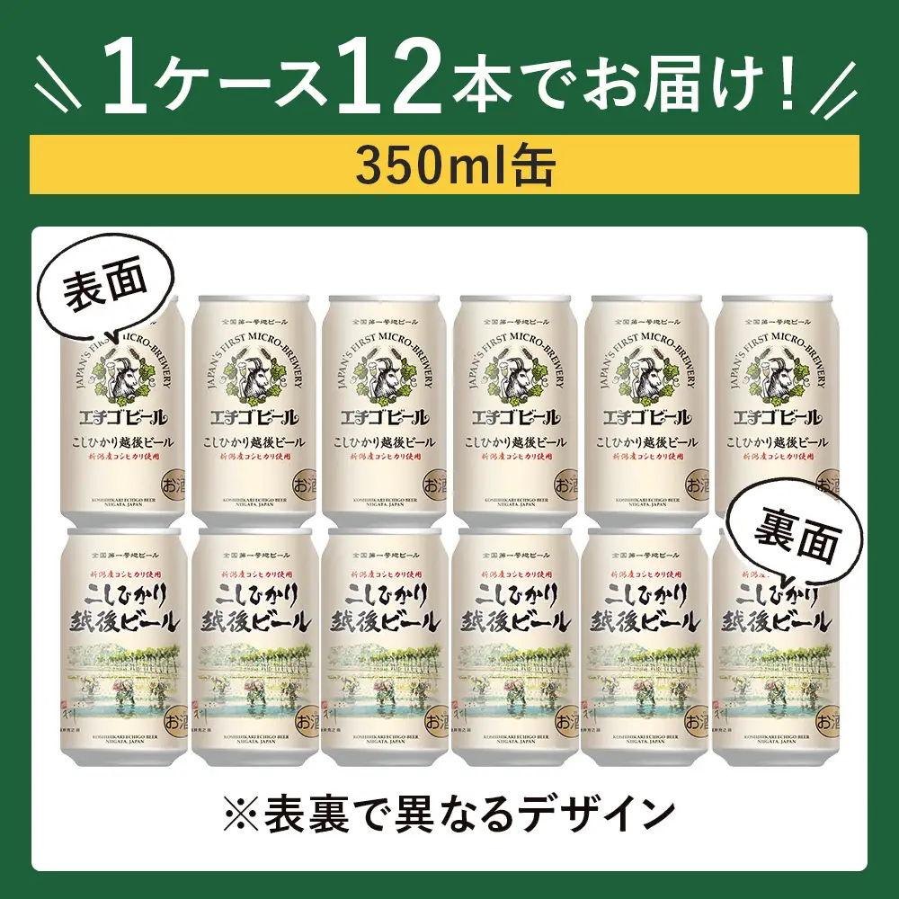 クラフトビール エチゴビール こしひかり越後ビール 350ml 缶 12本 〔P-446〕ビール クラフトビール 地ビール コシヒカリ 那須町