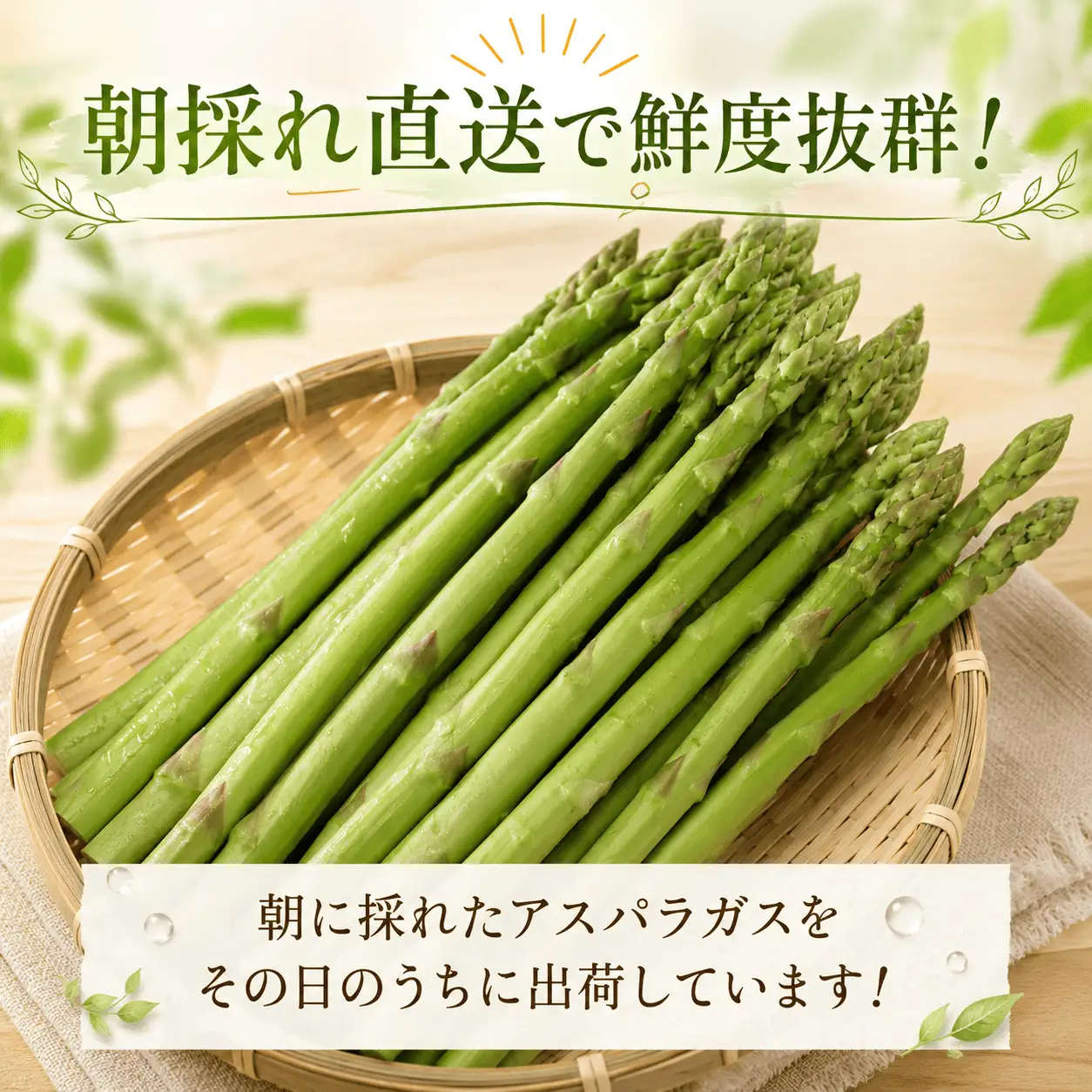 グリーンアスパラガス 朝採れ Lサイズ 約2kg (約100g×20束) アスパラガス