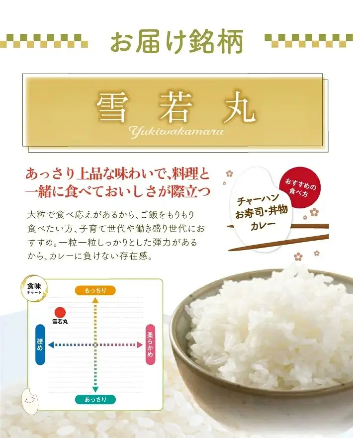 SB0968　11月下旬配送／令和8年産【無洗米】雪若丸　10kg(5kg×2袋) 農家直送 HO