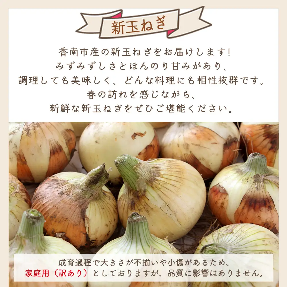 【先行予約】 新玉ねぎ ５ｋｇ 家庭用 yr-0122
