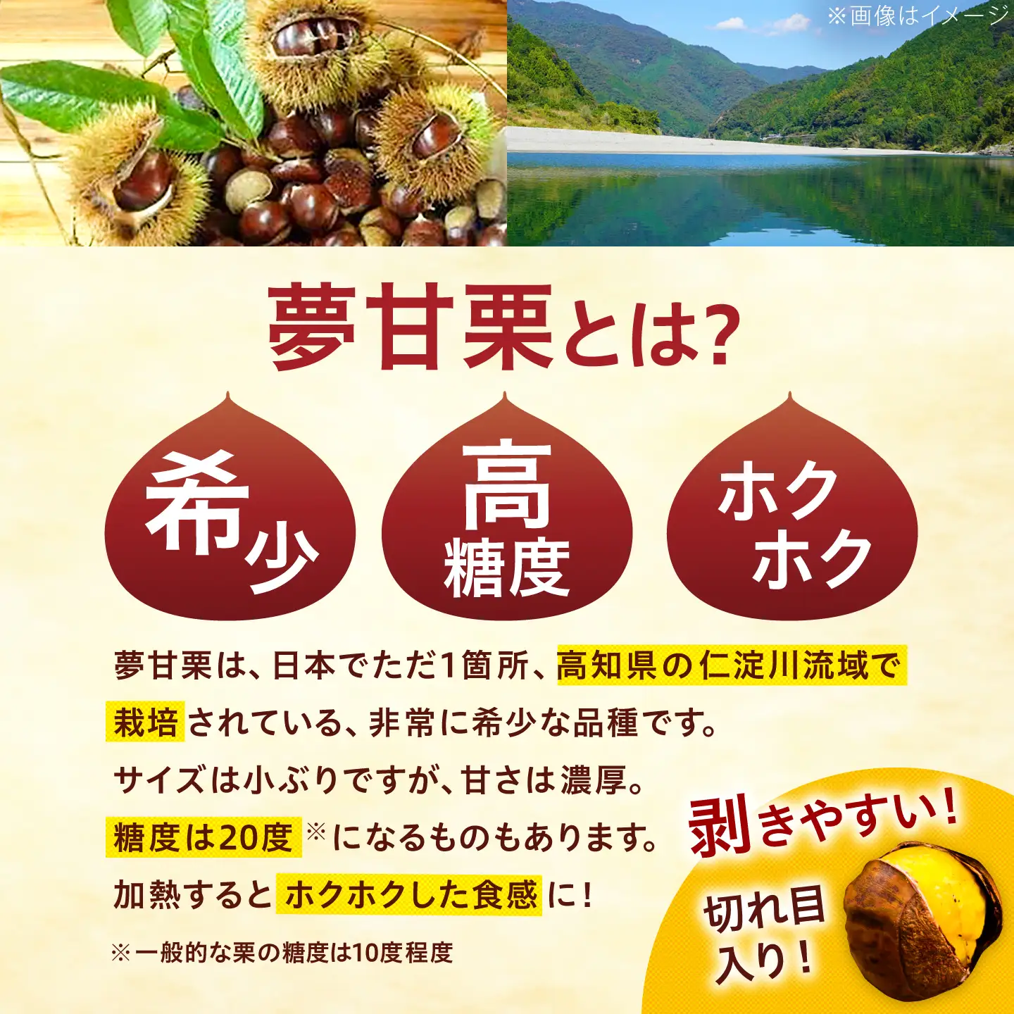 【先行予約】夢甘栗 焼き栗 2袋 約500g 〈2026年11月上旬～2026年11月下旬頃発送〉 【仁淀川流域夢甘栗生産者組合 くり蔵】[ATDR005]