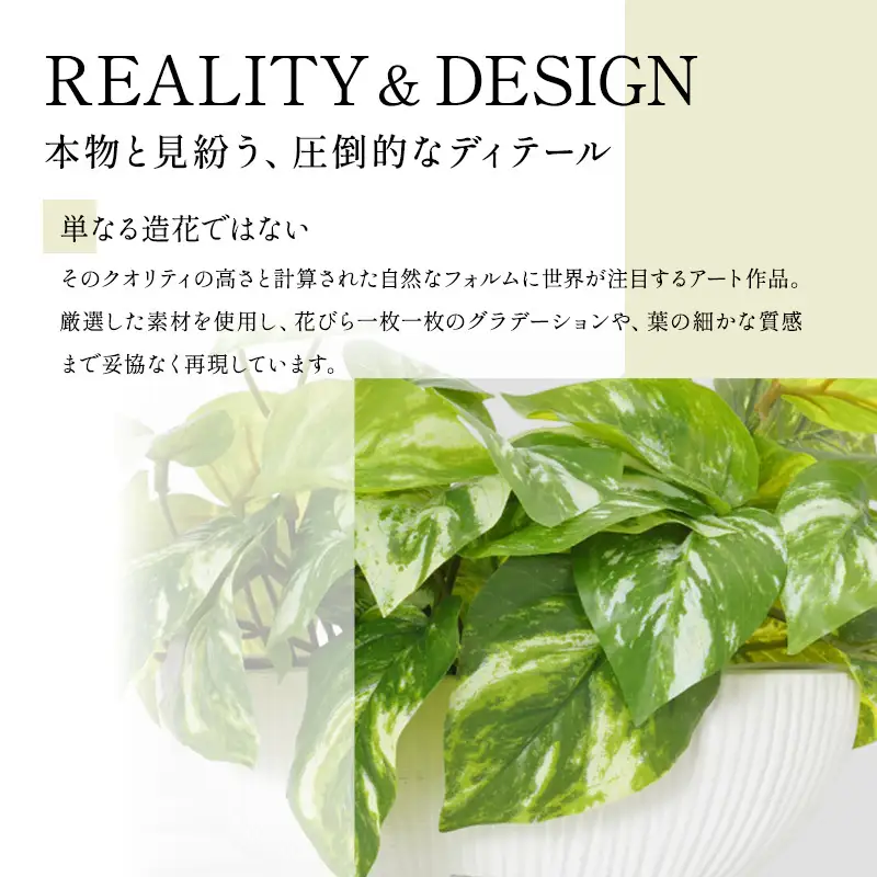 エミリオロバ　卓上プランツＡセット