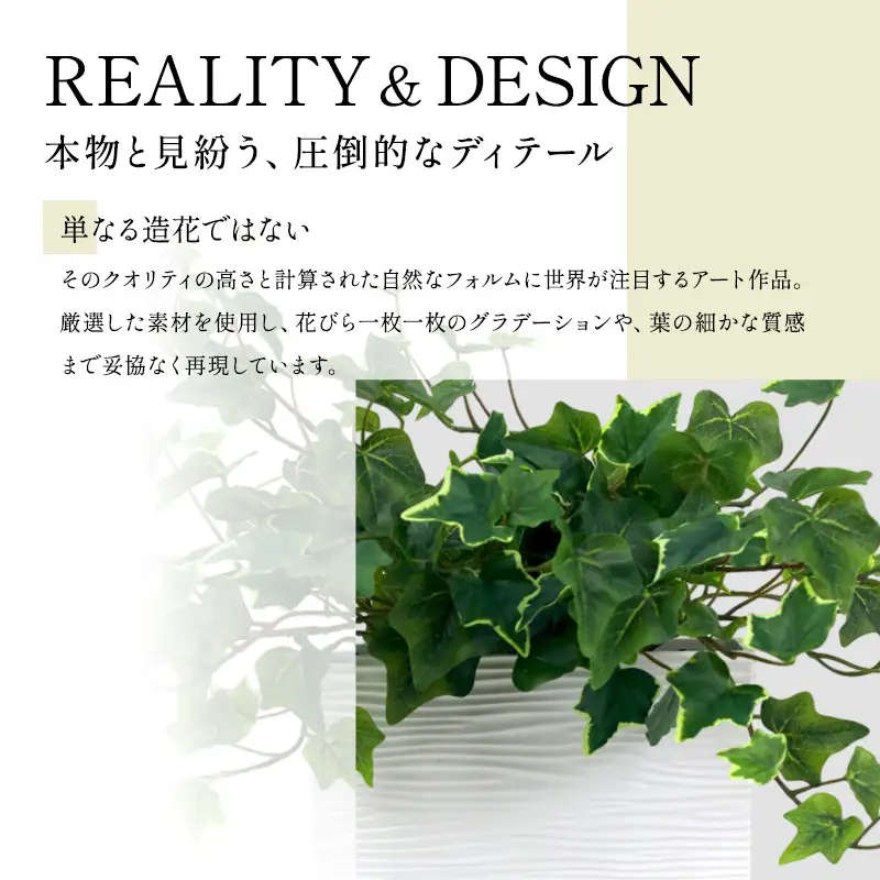 エミリオロバ　卓上プランツＢセット