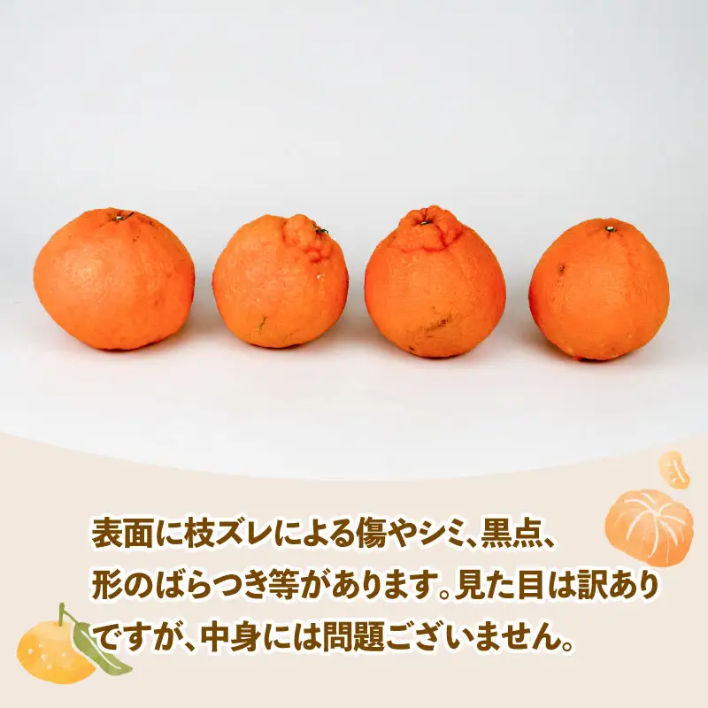 みかん 訳あり 不知火 ( デコポン と同品種) 約 5kg スーパー山田屋 先行予約 しらぬい 甘い 果物 くだもの フルーツ 柑橘 mikan 蜜柑 愛媛蜜柑 愛媛みかん わけあり サイズ 不揃い 産地直送 数量限定 国産 愛媛 宇和島 B010-198009