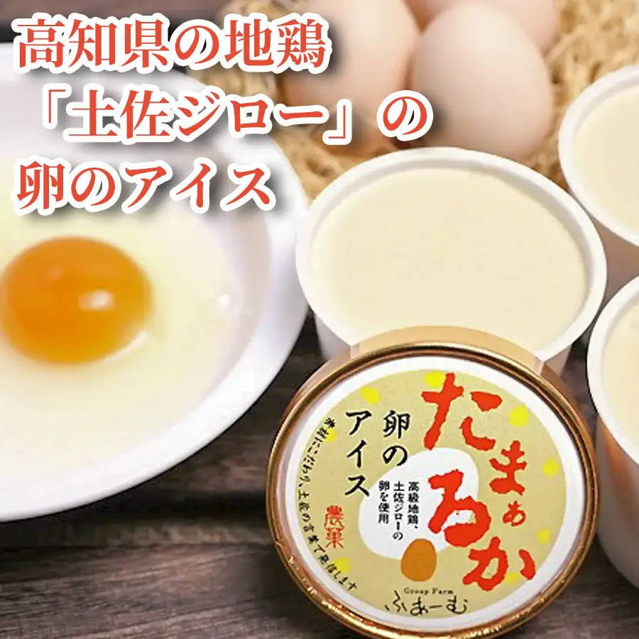 【アイス】 卵のアイス 6個 × 12回定期便 アイスクリーム