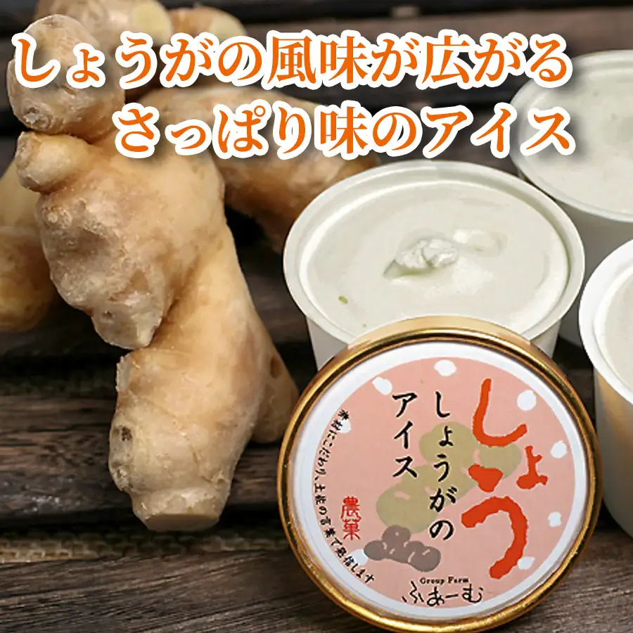 【アイス】 しょうがのアイス 100ml × 10個 アイス アイスクリーム