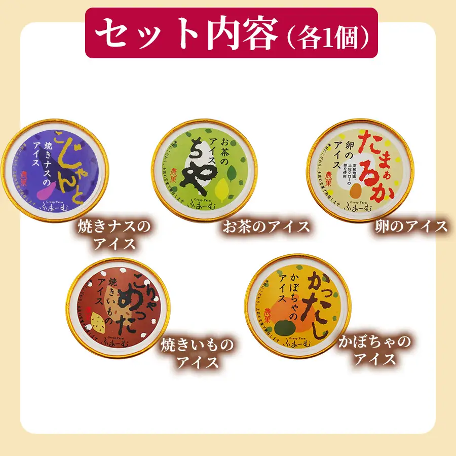 山海のアイス 100ml×10個 定期便 6回 アイス_BQ119