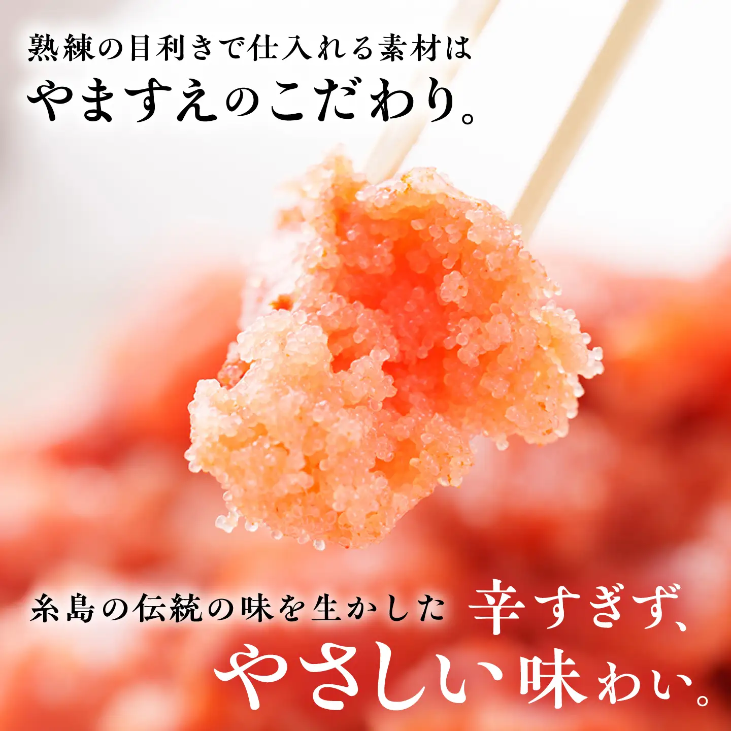 【 全3回 定期便 】【 訳あり 】 辛子明太子 500g × 3回 糸島市 / やますえ[AKA096]