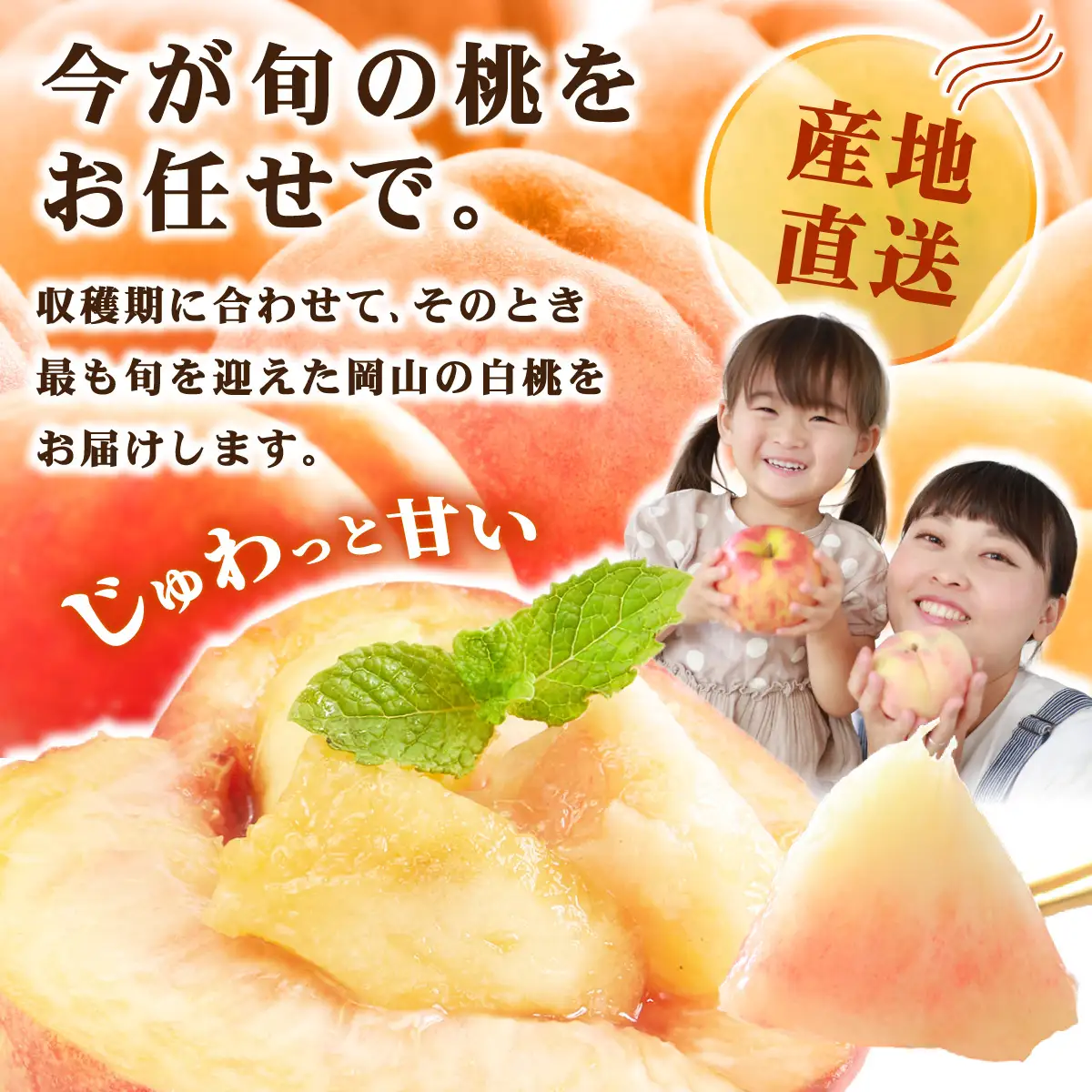 【家庭用】岡山県産 旬の桃 白桃 品種おまかせ 2kg