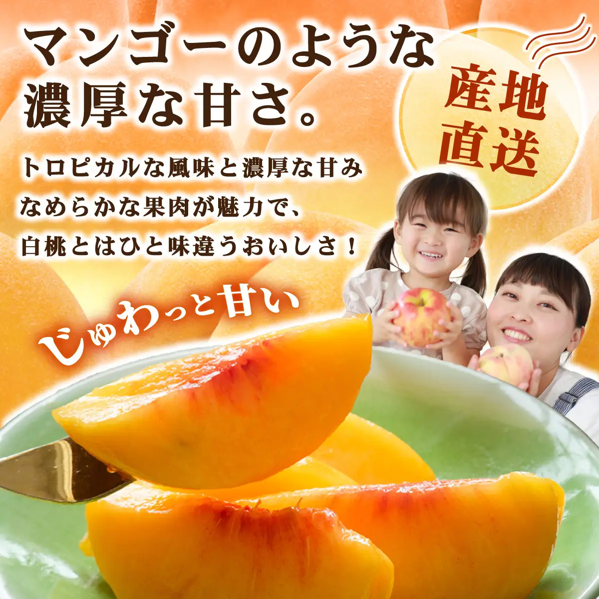【先行予約】2026年9月発送【家庭用】岡山県産 黄金桃 1.4kg