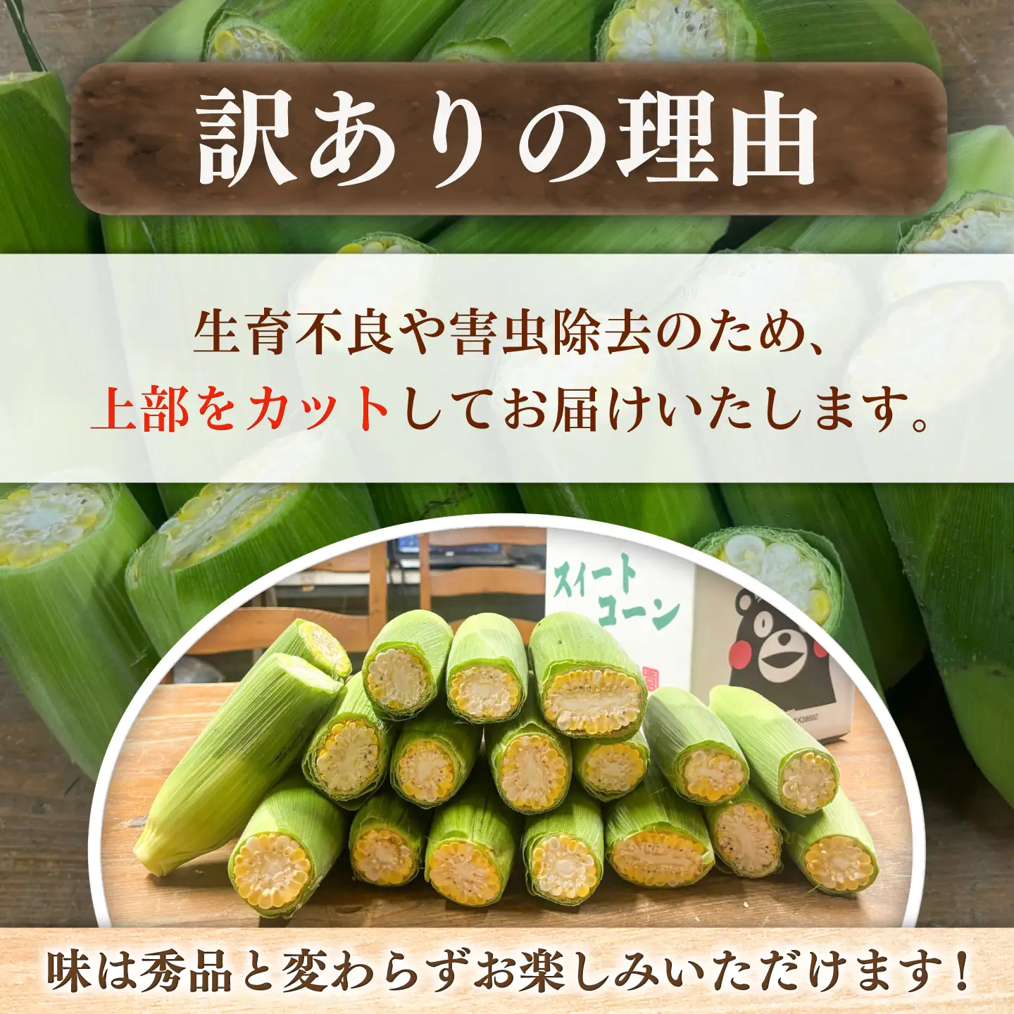 【先行予約】【2027年6月上旬より順次発送】【訳あり】スイートコーン(品種問わず) 4kg以上(10～20本) / 甘々娘 ドルチェドリーム プレミアム味来 熊本県 菊陽町【なかむら農園】[BHCJ005]
