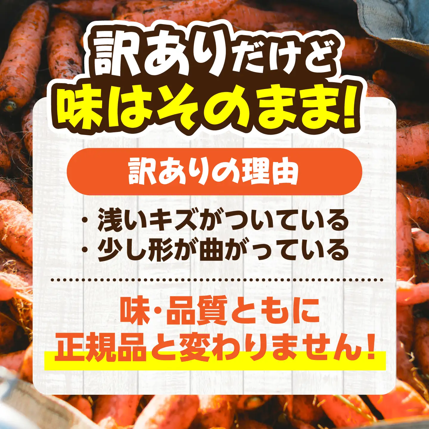 【先行予約】【12月中旬より順次発送】【訳あり】菊陽秋冬にんじん 約10kg (訳あり) / にんじん 菊陽にんじん 西洋にんじん ニンジン 人参 野菜 熊本 菊陽 わけあり 【マツモト：ファーム】[BHDH012]