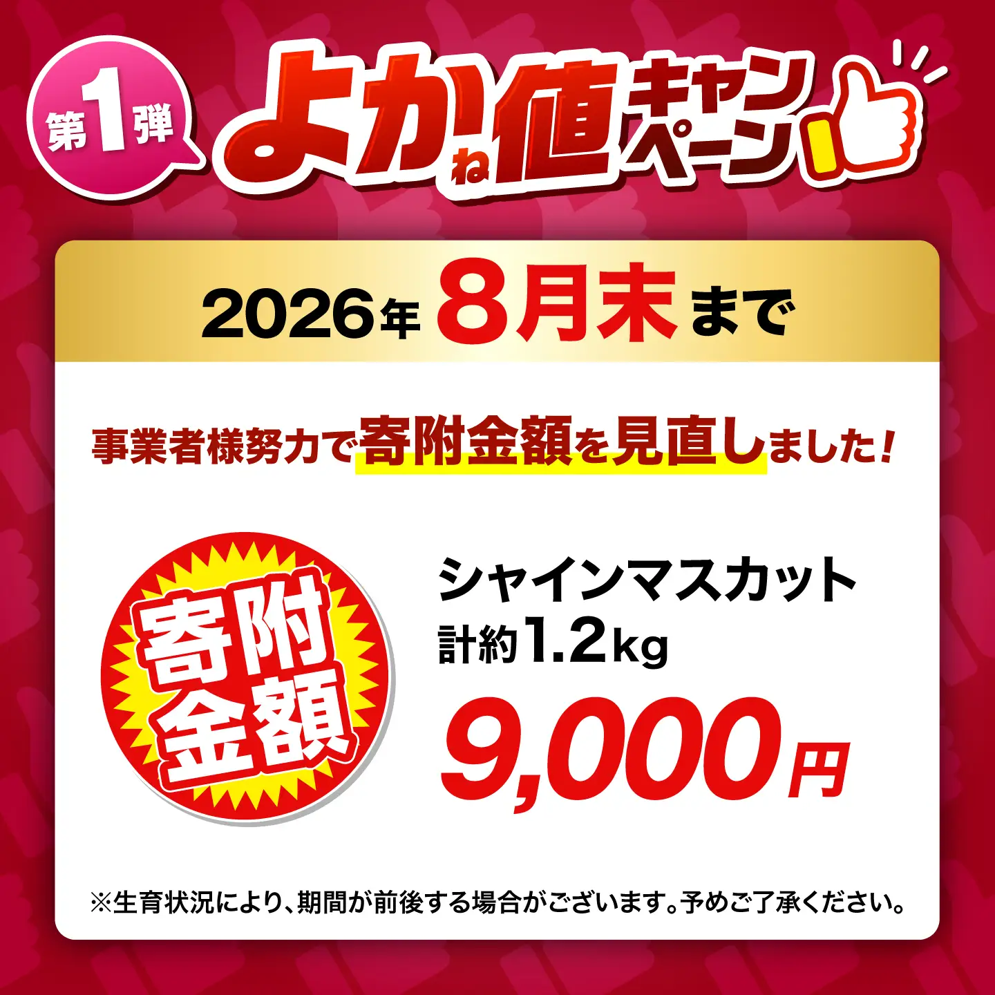 ＼生活応援よか値キャンペーン／先行予約 訳あり 金熟 シャインマスカット 計約1.2kg ZFO011-CP