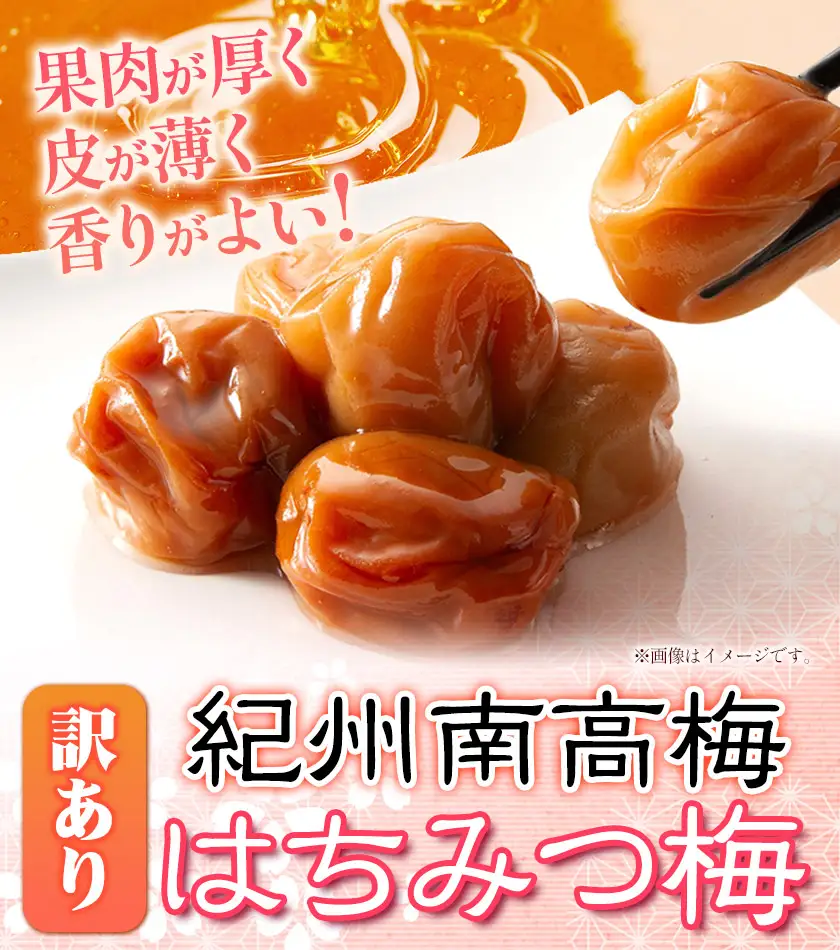 南高梅　わけあり 紀州南高梅 はちみつ梅 2.6kg
