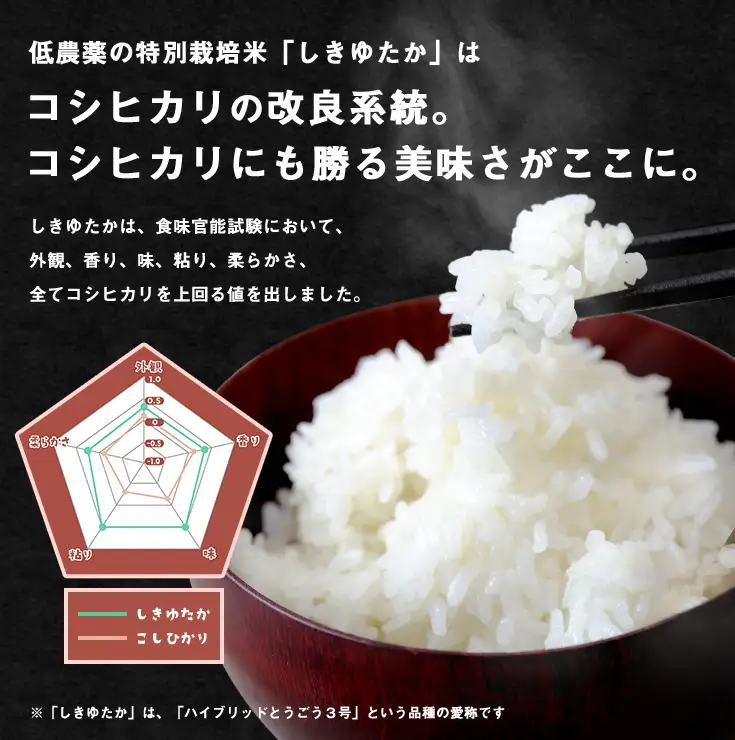 【新米　先行予約】令和8年産すっごいもちもち 「しきゆたか」 白米【10kg(5kg×2袋)】【C071W】