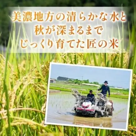 【発送月固定定期便】【先行予約】生産者応援!岐阜県産ハツシモ(無洗米)10kg【1・2月】全2回【配送不可地域：離島】【4089360】