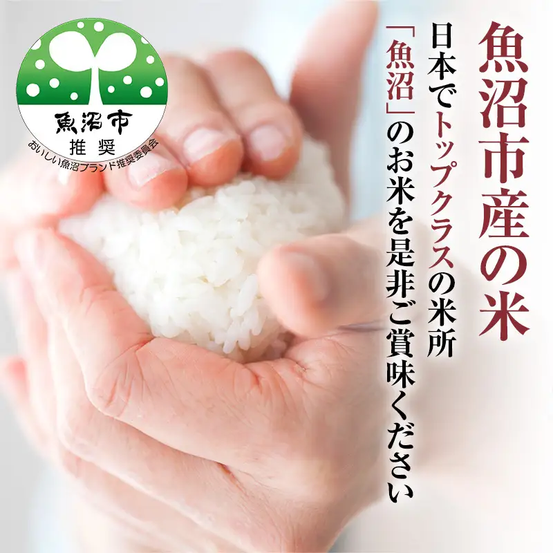 【令和8年産】 無洗米 米農家自慢の 魚沼産 コシヒカリ2kg×2袋 米 お米 こめ こしひかり 白米 無洗 新潟県 魚沼市 魚沼