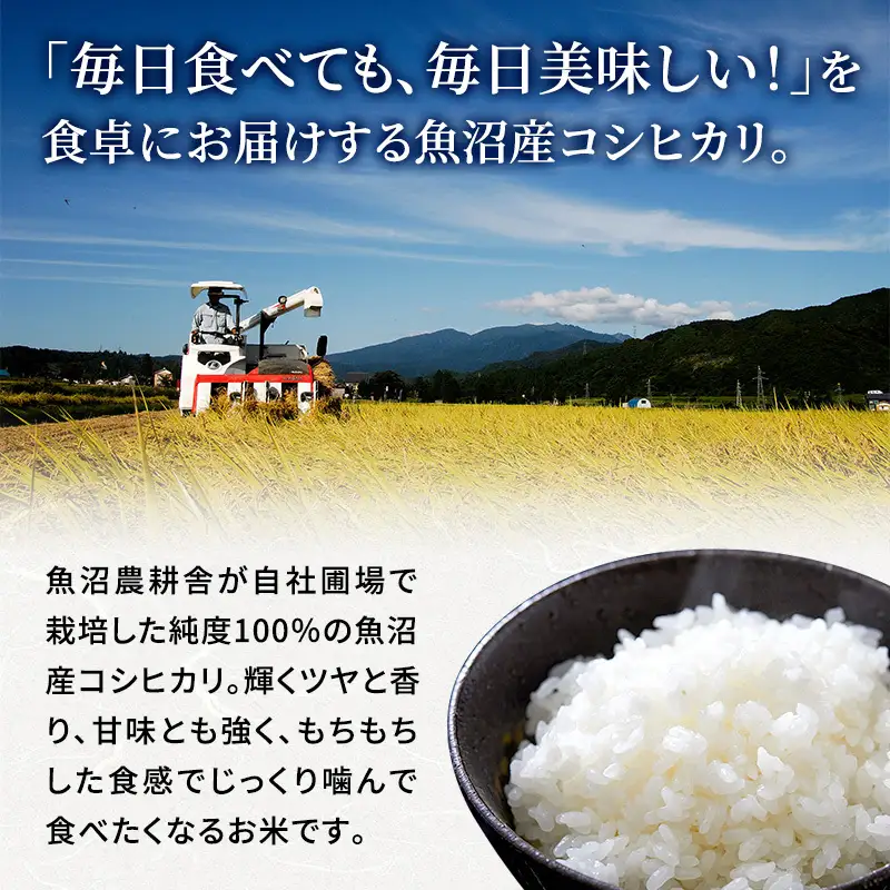【令和8年産　先行予約】有機JAS認証米 米農家自慢の 魚沼産 コシヒカリ精米3kg×1袋 米 お米 こめ こしひかり 白米 有機 新潟県 魚沼市 魚沼