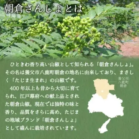 2027年先行予約5月下旬～発送 朝倉さんしょ 200g 生 実山椒 クール便冷蔵 兵庫県産 直送【配送不可地域：離島】【1746873】