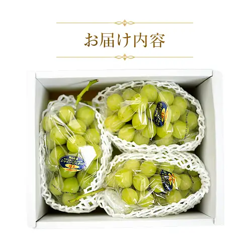 【天満屋選定品】岡山県産 シャインマスカット 晴王 約1.5kg（2026年発送）