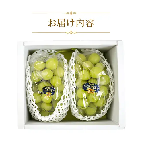 【天満屋選定品】岡山県産 シャインマスカット 晴王 約1.0kg（2026年発送）