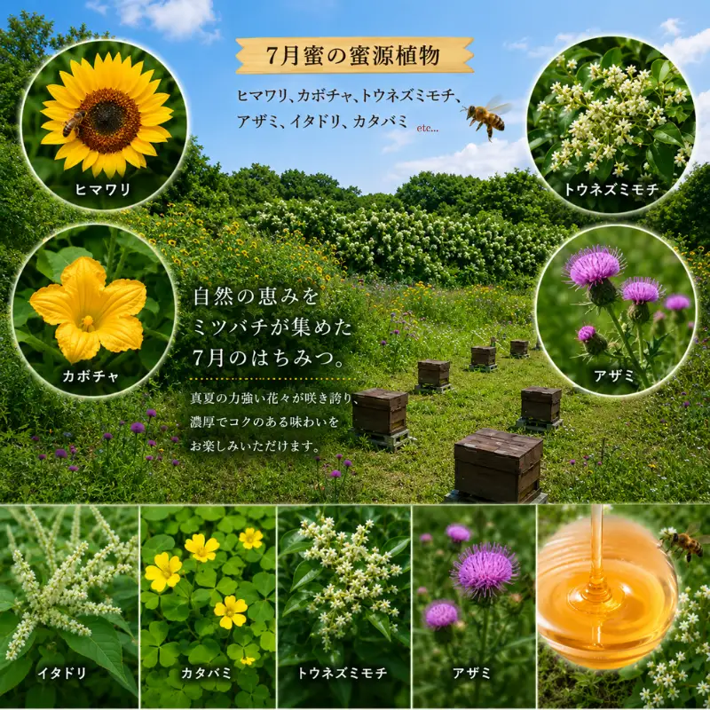 はちみつ 百花蜜 7月蜜 300g×1本 非加熱 産地直送 国産 一期一会 はちみつ 鹿嶋市