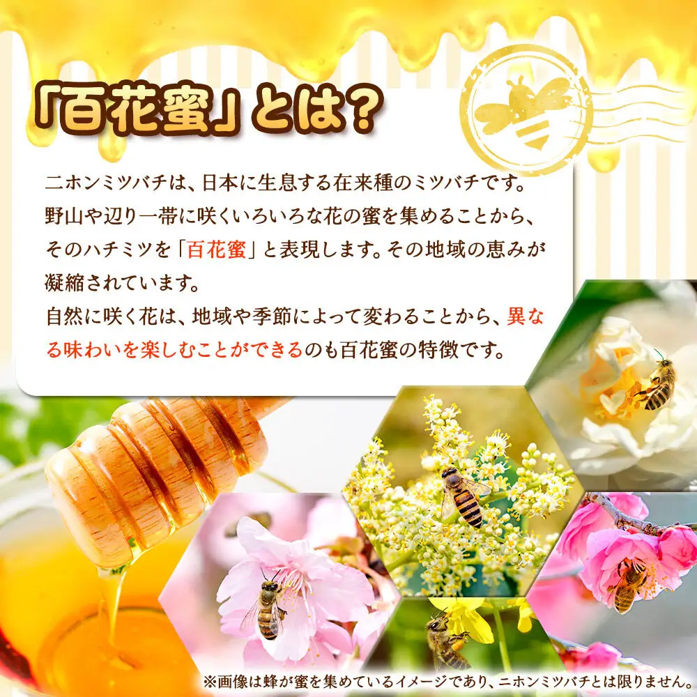 ハチミツ（百花蜜）100g 青森県十和田市産 ～ニホンミツバチ達の努力の結晶～