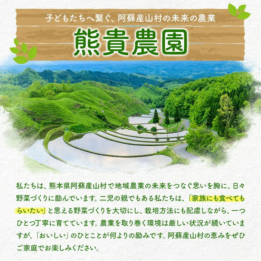 ミニトマト ほれまる 約1kg 熊貴農園