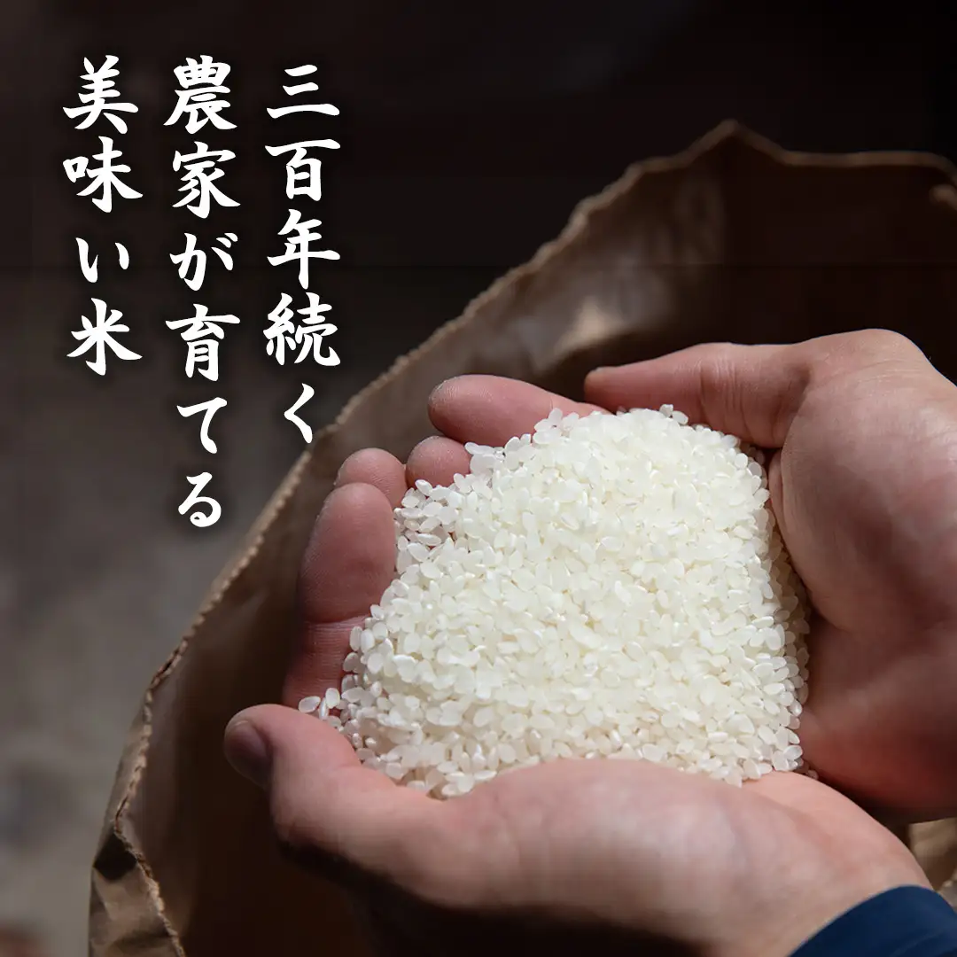 令和7年産 ＜ 9月出荷 ＞ 精米 5kg 三百年 続く農家 の 有機特別栽培米 コシヒカリ お米 白米