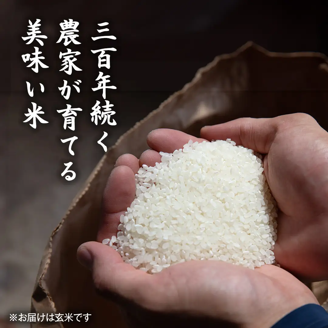 令和7年産 ＜ 9月出荷 ＞ 玄米 10kg 三百年 続く農家 の 有機特別栽培米 コシヒカリ お米 白米