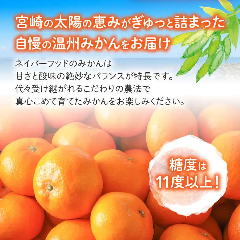 果物 温州みかん 果物[10kg 2026年～2027年発送先行予約]
