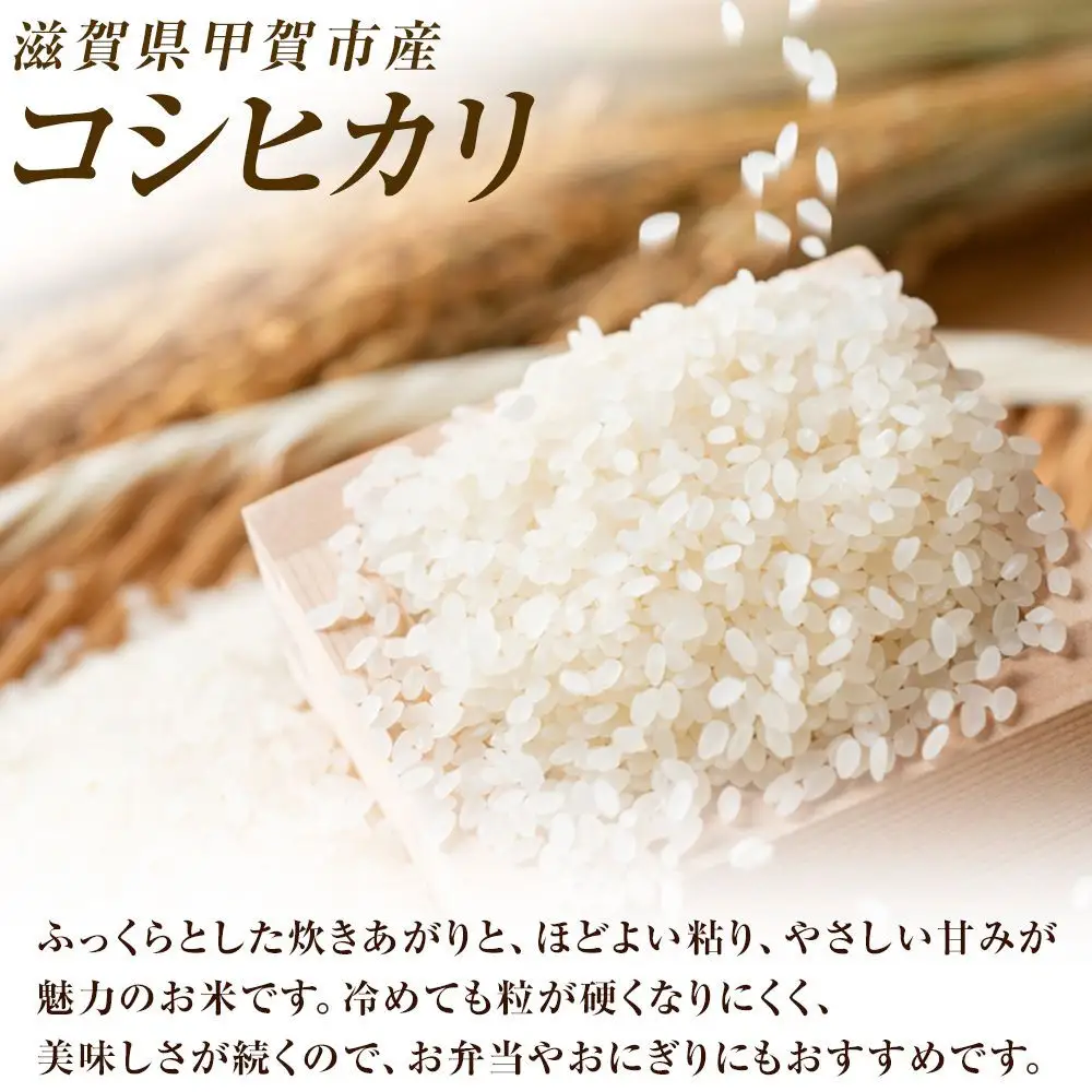 令和7年産】近江米コシヒカリ白米5kg | 滋賀県（県庁） | ふるさと納税