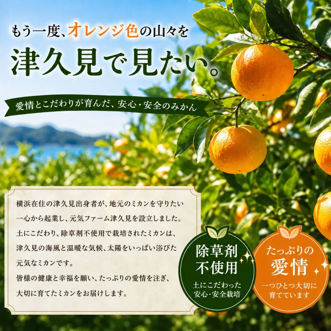 幸福蜜柑ジュースセット | みかんジュース