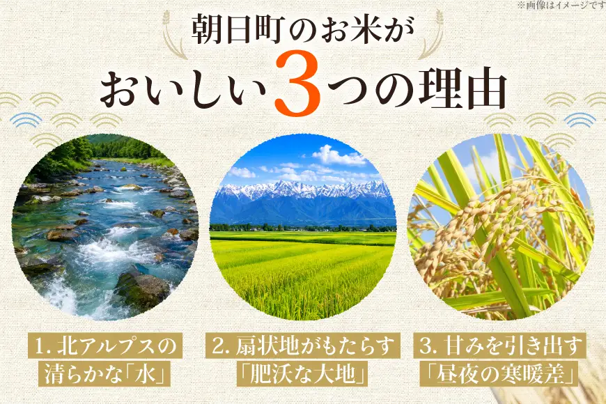 米 令和7年 コシヒカリ 玄米 30kg ×1袋 あいの風 | 富山県朝日町