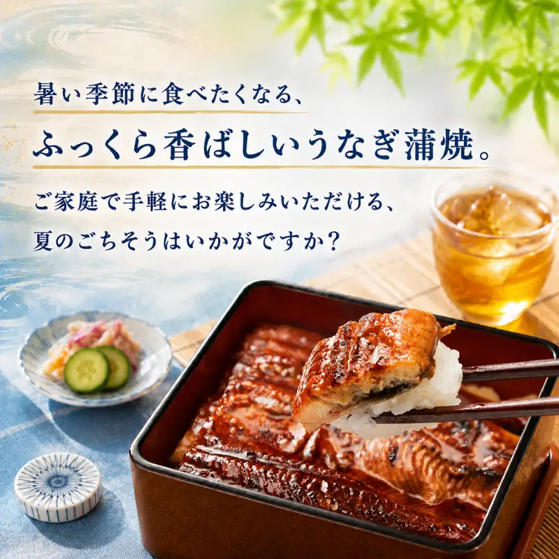 【夏季限定】 夏のごちそう 国産うなぎの蒲焼き 1尾