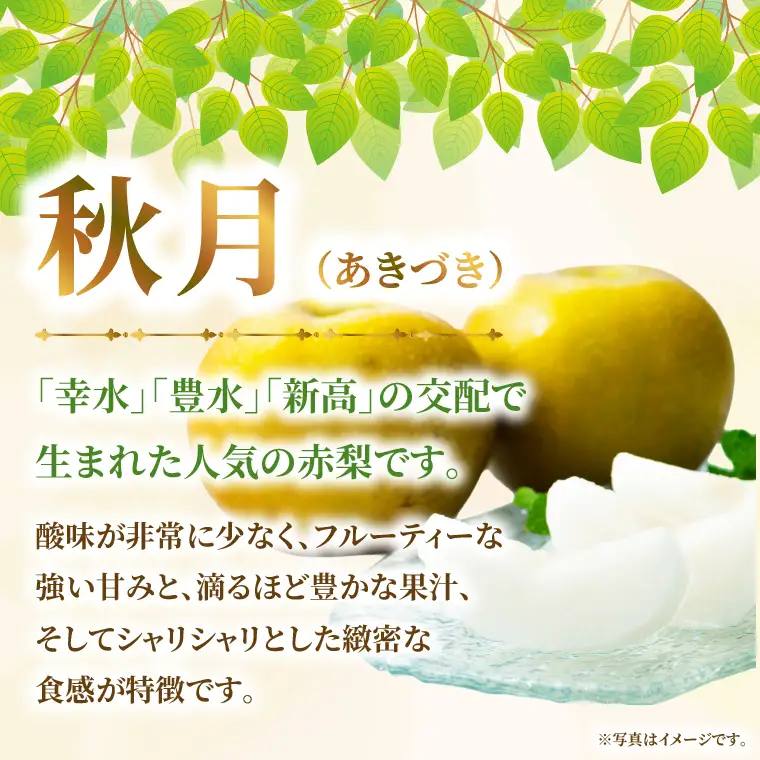 【9月中旬より発送】【数量限定】採れたて 梨 秋月 3kg（茨城県共通返礼品／かすみがうら市）（FW-14）