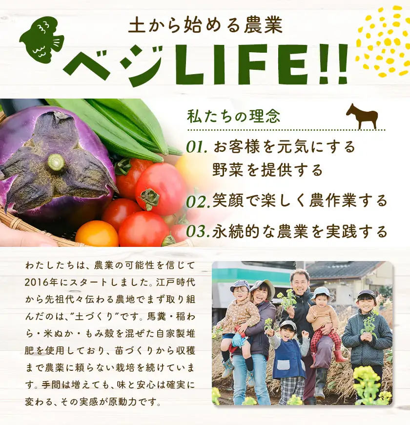 野菜 旬の野菜セット Sサイズ 約6～7種 ベジLIFE!! 【配送不可地域あり】（沖縄・離島）