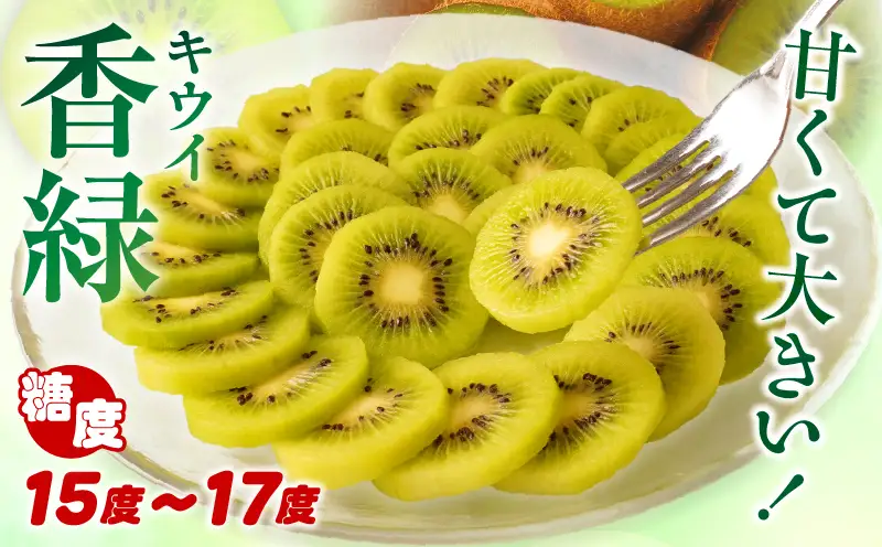 【先行受付】ご家庭用香緑キウイ　約1.5kg【香川県共通返礼品】 | キウイ フルーツ 果物 香川県 香緑 デザート サラダ ヨーグルト トッピング 国産 季節限定 青果物 旬 おすすめ |_mk006-133