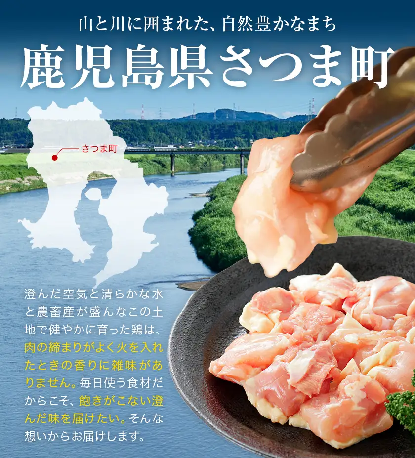 【12ヶ月定期便】 鹿児島県産 鶏肉 もも肉 2kg