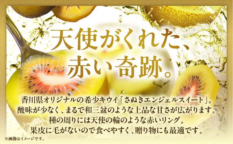 【先行受付】さぬきエンジェルスイートキウイ　約1.5kg【香川県共通返礼品】|さぬき エンジェルスイート 果物 フルーツ 人気 香川 香川県 三木町 厳選 追熟 ジューシー 糖度が高い 先行受付 先行予約 季節限定 旬 おすすめ|_mk006-135
